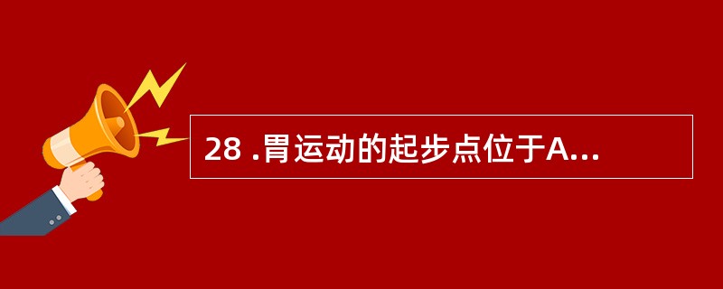 28 .胃运动的起步点位于A .胃大弯中部B .胃大弯上部C .胃底部D .胃幽