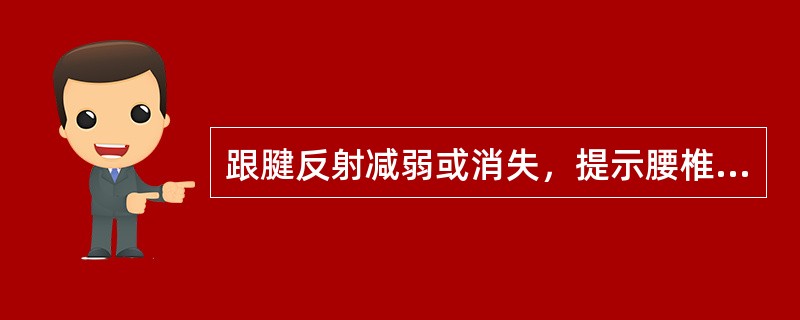 跟腱反射减弱或消失，提示腰椎间盘突出的间隙最可能是( )