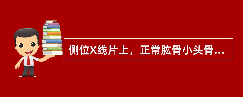 侧位X线片上，正常肱骨小头骨骺略似( )。