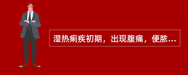 湿热痢疾初期，出现腹痛，便脓血，里急后重应采用的治则治法是