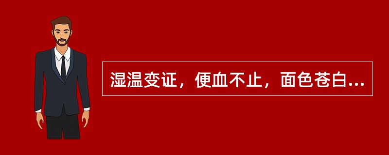 湿温变证，便血不止，面色苍白，汗出肢冷，舌淡无华，脉象微细。宜选用A、独参汤B、