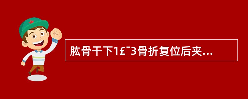 肱骨干下1£¯3骨折复位后夹板固定应( )。