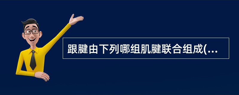 跟腱由下列哪组肌腱联合组成( )。A、腓骨长肌，比目鱼肌B、腓肠肌、腓骨长肌C、