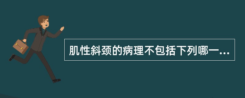 肌性斜颈的病理不包括下列哪一项？( )A、肌肉血肿机化B、肌肉断裂C、肌纤维挛缩