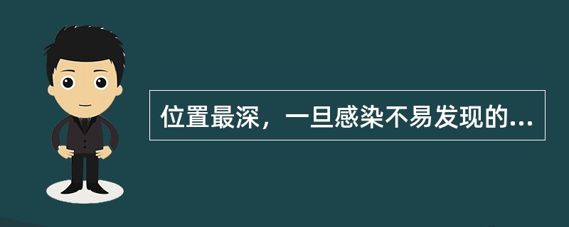 位置最深，一旦感染不易发现的是：