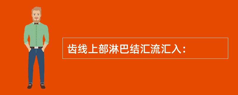 齿线上部淋巴结汇流汇入：