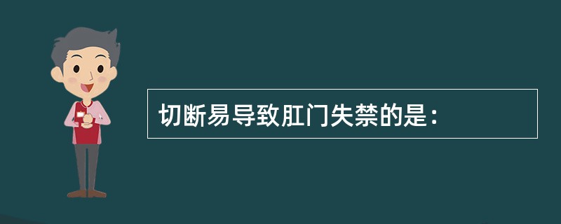 切断易导致肛门失禁的是：