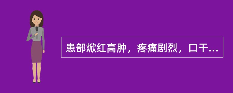 患部焮红高肿，疼痛剧烈，口干饮冷，壮热烦躁，呕恶便秘，腹胀拒按，舌苔黄腻或黄糙，