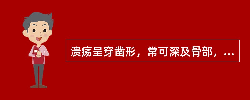 溃疡呈穿凿形，常可深及骨部，为( )。