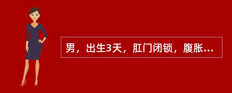 男，出生3天，肛门闭锁，腹胀呕吐，尿液澄清，应做的必需检查A、消化道造影B、排泄