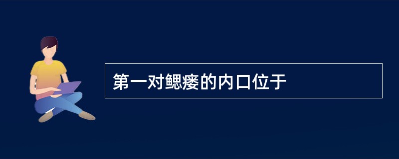 第一对鳃瘘的内口位于