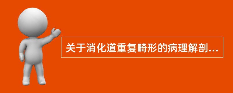 关于消化道重复畸形的病理解剖特点，下列不正确的是A、多数畸形有单独的系膜和血管支