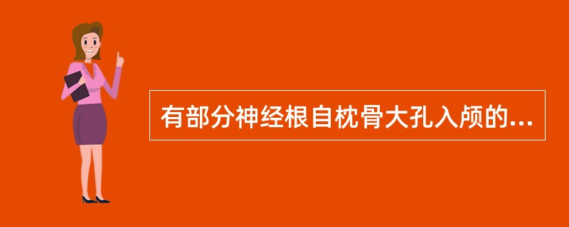 有部分神经根自枕骨大孔入颅的是A、舌下神经B、副神经C、舌咽神经D、迷走神经E、