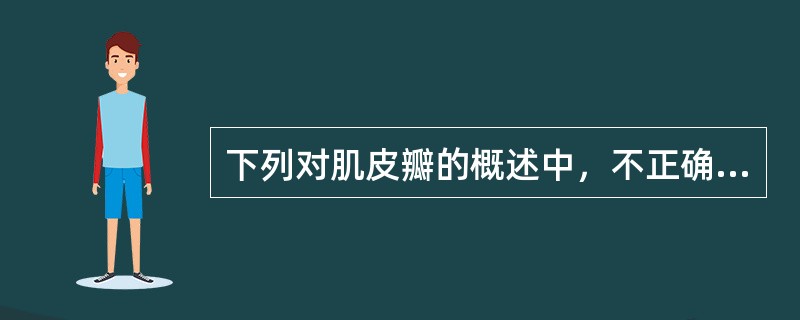 下列对肌皮瓣的概述中，不正确的是A、对重要部位的肌皮瓣供区需有与供瓣肌肉功能相同