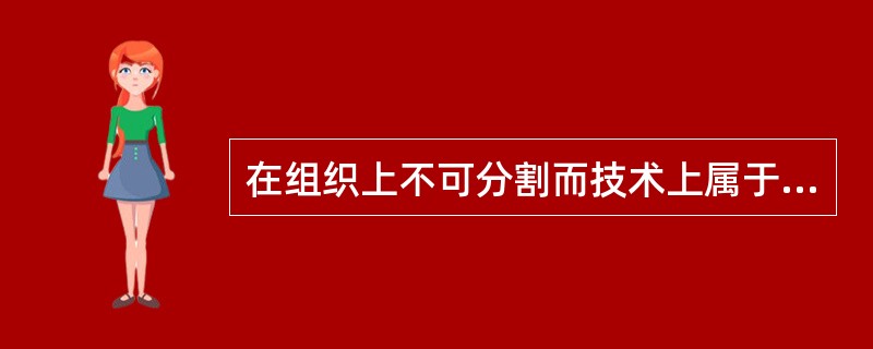 在组织上不可分割而技术上属于同一类的施工过程,称之为( )。