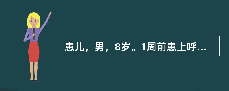 患儿，男，8岁。1周前患上呼吸道感染，6小时前出现全腹疼痛。查体：体温38.2℃