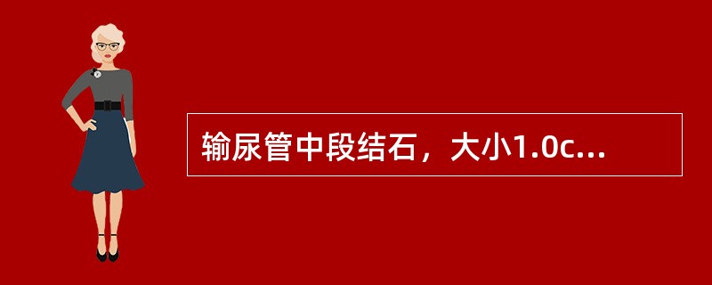 输尿管中段结石，大小1.0cm×0.8cm。治疗方式宜采取