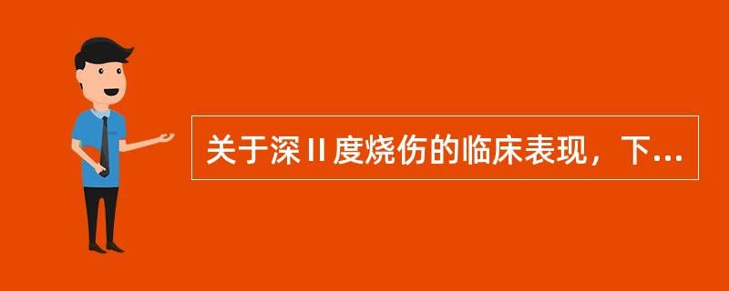 关于深Ⅱ度烧伤的临床表现，下列错误的是A、可见树枝状栓塞血管B、创面多有水疱C、