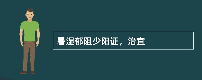 暑湿郁阻少阳证，治宜