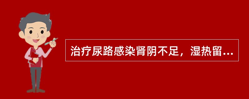 治疗尿路感染肾阴不足，湿热留恋证，应首选的方剂是