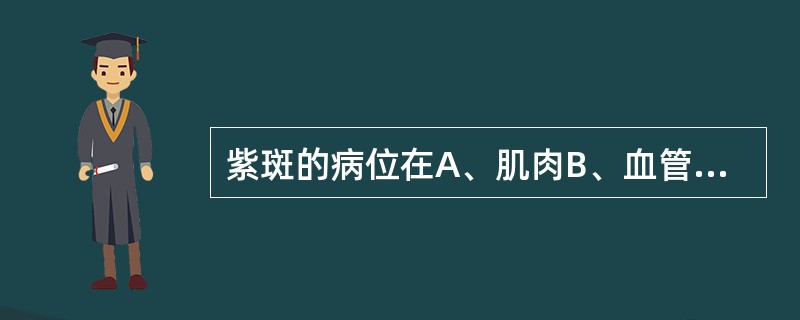 紫斑的病位在A、肌肉B、血管C、骨骼D、筋膜E、皮肤