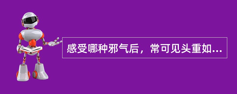 感受哪种邪气后，常可见头重如裹、周身困重等症状A、风邪B、寒邪C、暑邪D、湿邪E