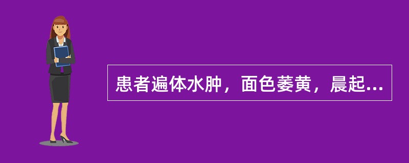 患者遍体水肿，面色萎黄，晨起头面较甚，动则下肢肿胀，能食而疲倦乏力，大便如常或溏