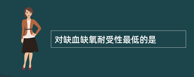 对缺血缺氧耐受性最低的是