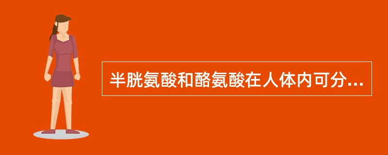 半胱氨酸和酪氨酸在人体内可分别由( )转变而来。