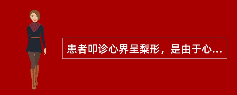 患者叩诊心界呈梨形，是由于心脏哪一部分异常引起的A、右心室增大B、两心房增大C、