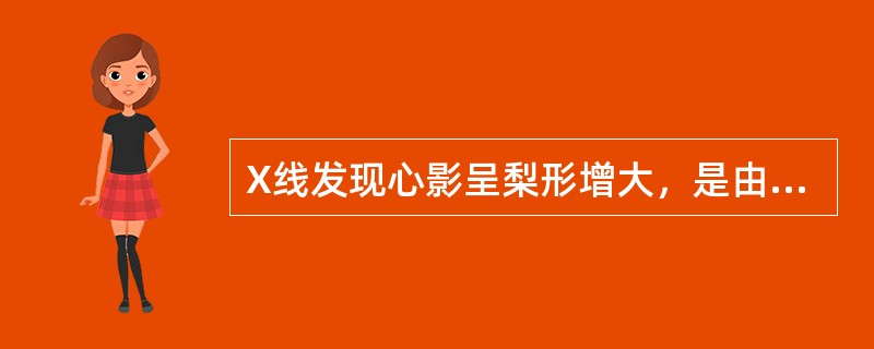 X线发现心影呈梨形增大，是由于A、右心室、左心室增大B、左心室、左心房增大C、右