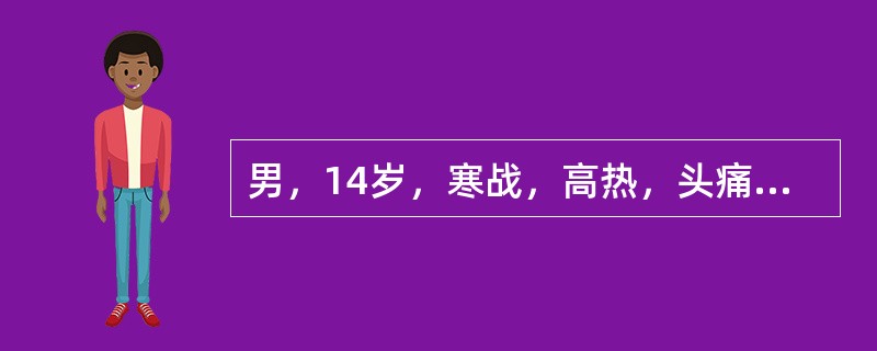 男，14岁，寒战，高热，头痛，呕吐，昏迷12小时，皮肤大片瘀斑，颈强直，瞳孔左＞