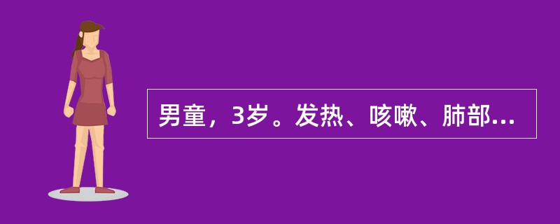 男童，3岁。发热、咳嗽、肺部可闻及干性啰音。如果肺部未闻及干性啰音，最可能的诊断