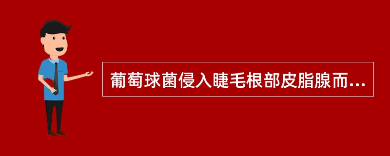 葡萄球菌侵入睫毛根部皮脂腺而致的急性化脓性炎症称为A、睑缘炎B、霰粒肿C、内麦粒