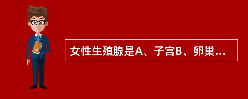 女性生殖腺是A、子宫B、卵巢C、输卵管D、阴道E、子宫颈