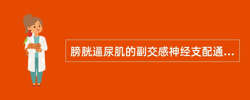 膀胱逼尿肌的副交感神经支配通过 ( )A、腹下神经B、闭孔神经C、骨盆神经D、阴