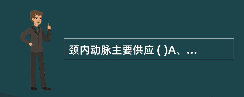 颈内动脉主要供应 ( )A、小脑B、大脑半球前2£¯3C、间脑D、脑干E、以上均