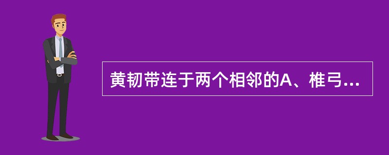 黄韧带连于两个相邻的A、椎弓板之间B、离椎弓根之间C、椎弓之间D、棘突之间E、椎