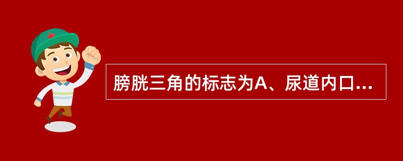 膀胱三角的标志为A、尿道内口与膀胱底之间B、输尿管间襞与膀胱尖之间C、两输尿管口