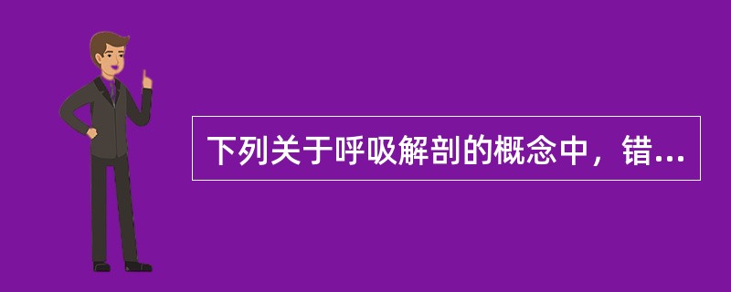 下列关于呼吸解剖的概念中，错误的是A、肺有二套血管系统B、肺动脉内充盈的是静脉血