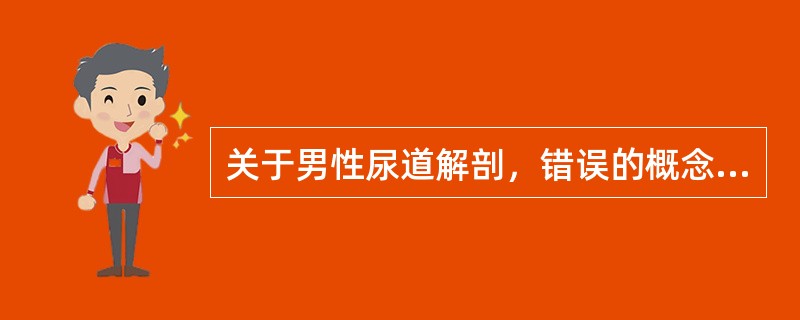 关于男性尿道解剖，错误的概念是A、膜部和海绵体部B、膜部和尿道外口C、尿道弯曲在