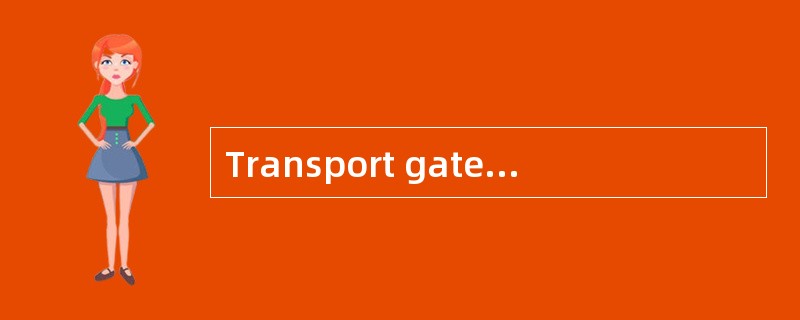 Transport gateways connect byte streams