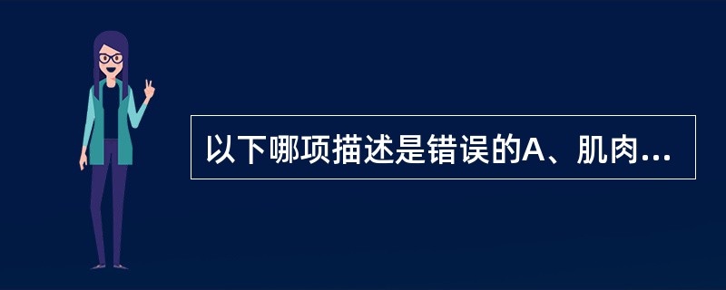 以下哪项描述是错误的A、肌肉的横截面表明了肌肉中肌纤维的数量和肌纤维的粗细，因而