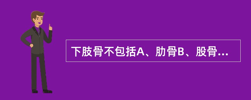 下肢骨不包括A、肋骨B、股骨C、胫骨D、腓骨E、跟骨