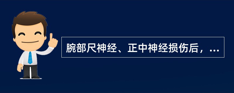 腕部尺神经、正中神经损伤后，手应置于