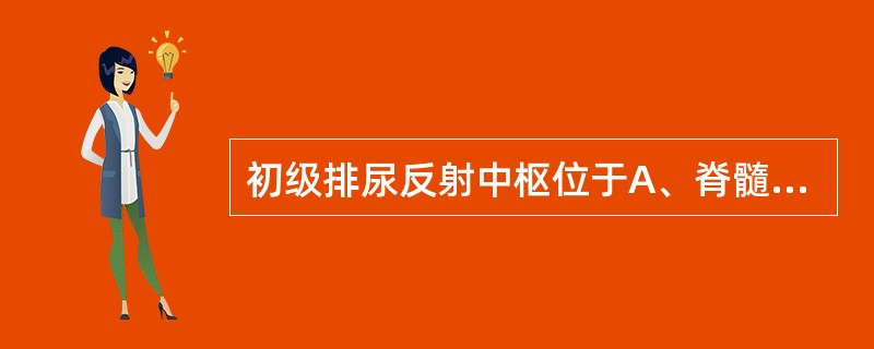 初级排尿反射中枢位于A、脊髓圆锥部B、腰脊髓C、胸脊髓D、颈脊髓E、脑干