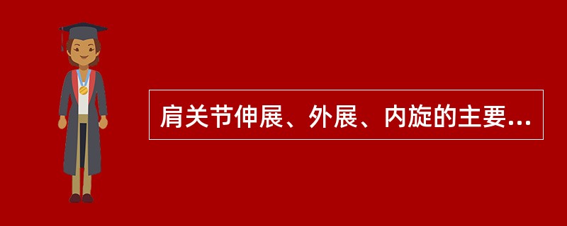 肩关节伸展、外展、内旋的主要肌肉包括