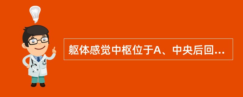 躯体感觉中枢位于A、中央后回和旁中央小叶后部B、中央前回和旁中央小叶前部C、缘上