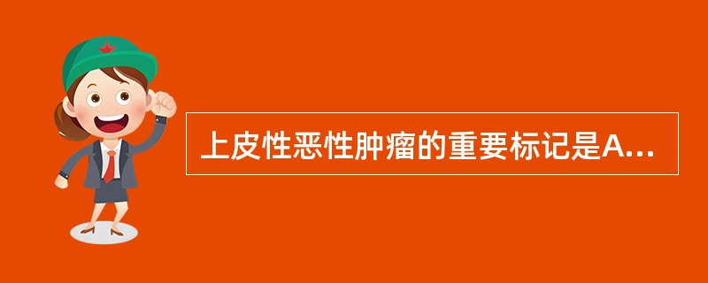 上皮性恶性肿瘤的重要标记是A、雌激素受体与孕激素受体(ER，PR)B、广谱细胞角