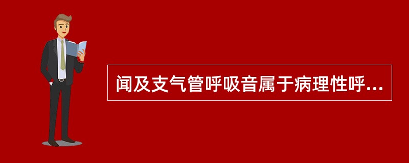 闻及支气管呼吸音属于病理性呼吸音在的部位是( )。